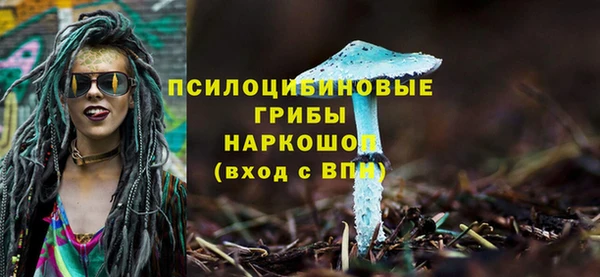 гидропоника Верхнеуральск